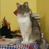 Отзыв от Нина Горбачева
